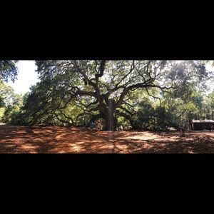 Meet your Posher, Shelby